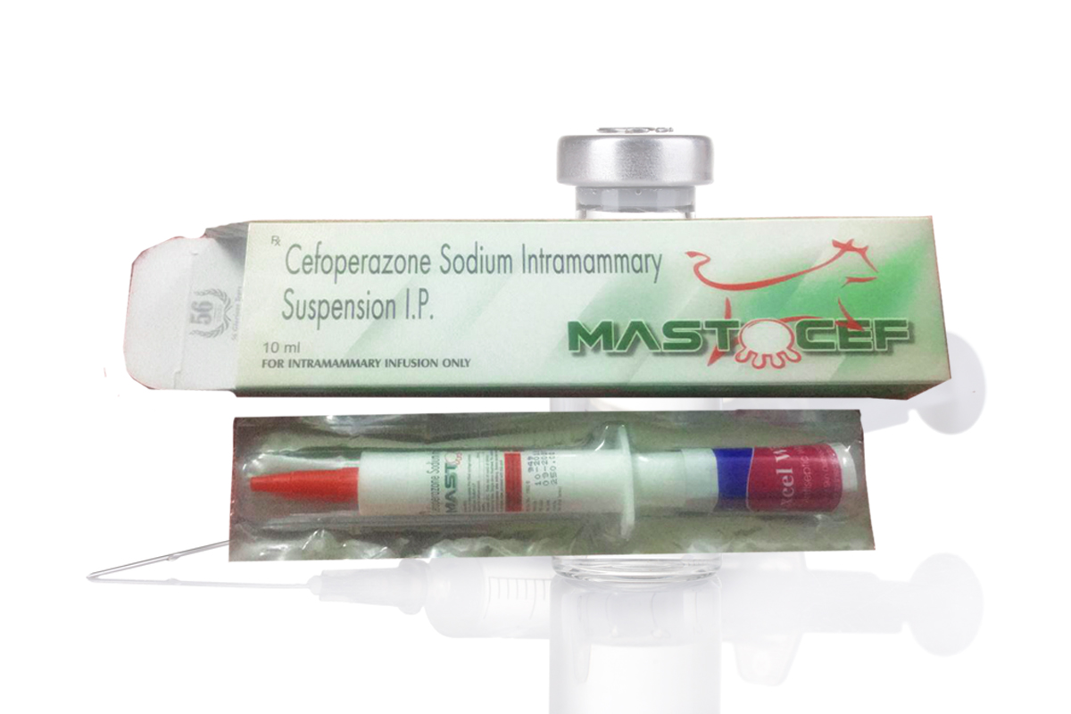Eye Drops Manufacturers in India, Levofloxacin Eye Drops Manufacturers in Ludhiana, Cyclosporin Eye Drops Manufacturers in Ludhiana, Povidone Lodine Eye Drops Manufacturers in Ludhiana, Brinzolamide Eye Drops Manufacturers in Ludhiana, Brinzolamide Eye Drops Manufacturers in Ludhiana, Computer Eye Drops Manufacturers in Ludhiana, Ceftriaxone Sodium Injection Manufacturers in Punjab, Ceftriaxone Sodium Injection Manufacturers in Ludhiana, Cefiperazone Sodium Intramammary Injection Manufacturers in Ludhiana, Cyclosporin Eye Drops Manufacturers in Punjab, Brimonidine Tartrate and Timolol Maleate Eye Drops Manufacturers in Ludhiana, Brinzolamide Eye Drops Manufacturers in Punjab, Biomedica Remidies in Ludhiana, Povidone Lodine Eye Drops Manufacturers in Punjab, Computer Eye Drops Manufacturers in Punjab, Eye Drops Manufacturers in Ludhiana, Levofloxacin Eye Drops Manufacturers in Punjab, Cefiperazone Sodium Intramammary Injection Manufacturers in Punjab,  Brimonidine Tartrate and Timolol Maleate Eye Drops Manufacturers in Punjab, Eye Drops Manufacturers in Punjab,Biomedica Remidies in Punjab,  Levofloxacin Eye Drops Manufacturers in India, Cyclosporin Eye Drops Manufacturers in India, Povidone Lodine Eye Drops Manufacturers in India, Brinzolamide Eye Drops Manufacturers in India, Computer Eye Drops Manufacturers in India, Biomedica Remidies in India, Cefiperazone Sodium Intramammary Injection Manufacturers in India, Ceftriaxone Sodium Injection Manufacturers in India,  Brimonidine Tartrate and Timolol Maleate Eye Drops Manufacturers in India.